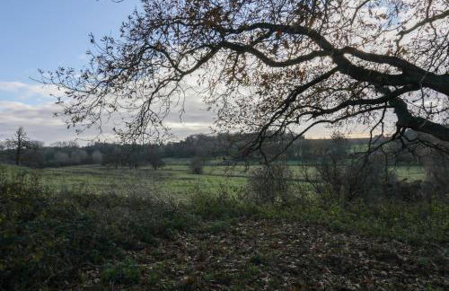 Oak View Lodge Luxury Master Studio near Ipswich & Woodbridge - Foto 12