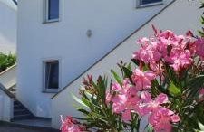 Apartments Ivan - Foto 1