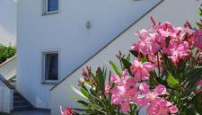 Apartments Ivan - Foto 1