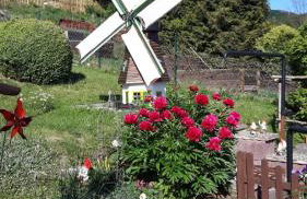 Haus Wiesenblick - Foto 2