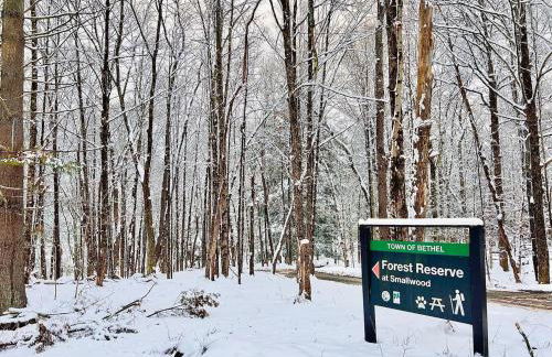 renovatedhot tublake accesspedal boatcozychic - Foto 36