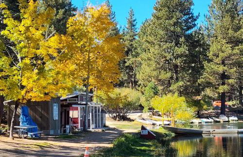 Snow Bunny Cottage, Pets Welcomed! - Foto 40