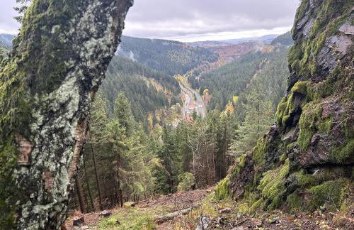 Ferienwohnung Tannenblick 2-1 - Foto 21