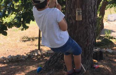 Quinta do Carvalheiro - Photo 9