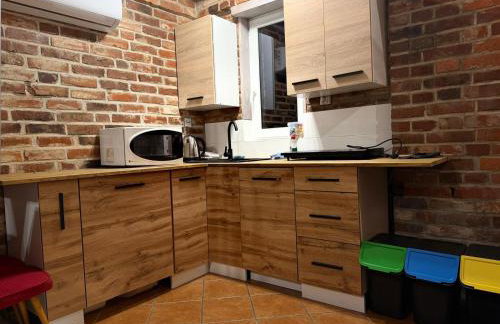 Na Pograniczu domek w górach - Foto 4