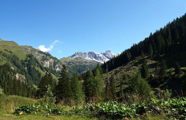 Apartment Wilfer - Foto 26