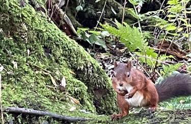 Heart Of Hawes Holiday Cottage - Foto 49