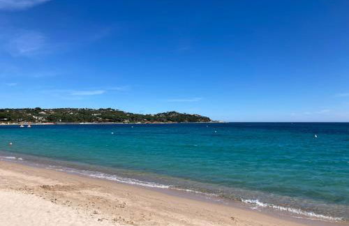 Le 49 de la Pointe - Foto 9