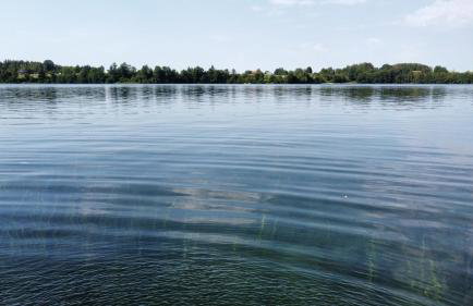 Zanurzeni w Ciszy - Foto 3