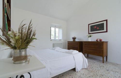 Agriturismo di Serragiumenta - Foto 20