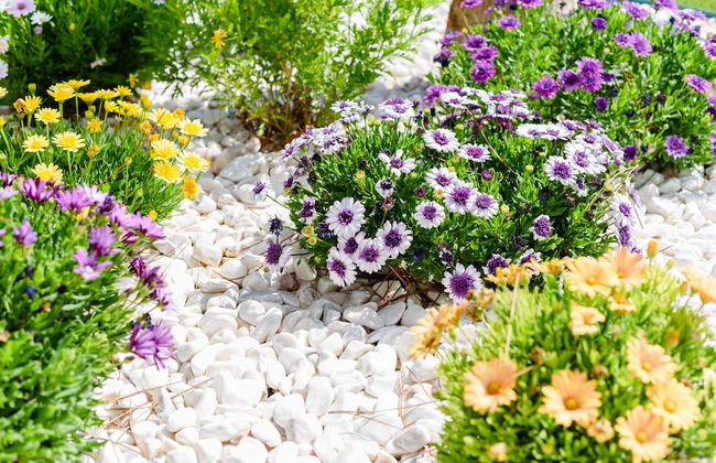 Casa dos Sonhos - Foto 54