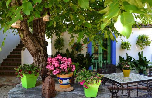 El Rincón de Carmen - Foto 77