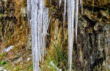 Ferienwohnung Schlossblick Schillingsfürst - Foto 8