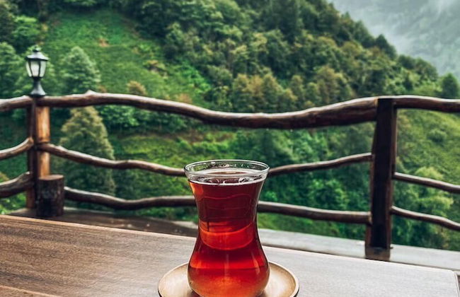 Northland Bungalows - Foto 43