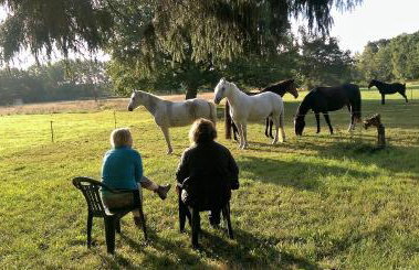 Apartment im ART.Quartier - Foto 21