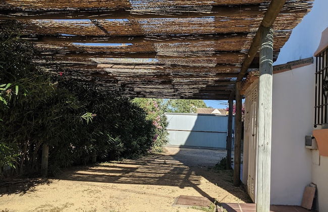 Villa Pinos Zahora - Beach Front Pine Trees - Foto 32