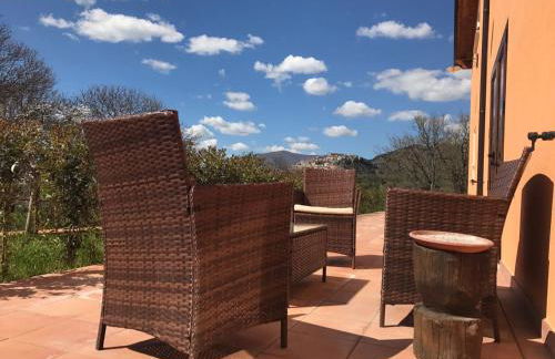 Agriturismo L'Ulivo - Foto 45