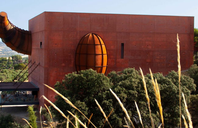 Visita a la finca LA Almazara con cata de aceites - Foto 1