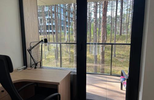 Apartament Sosnowy AKTENA Shellter Rogowo - Foto 10