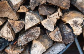 New! Designer 3BR Cabin Walk to Pond Mtn Views - Foto 3