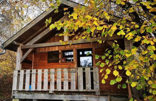 Le Noisetier - Foto 11