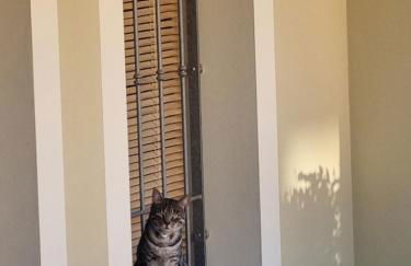 A casa di Pablo - Foto 33