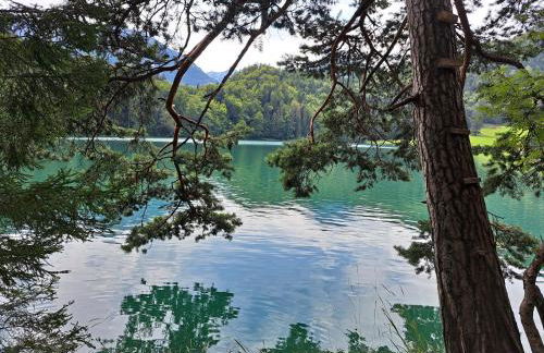 Ferienwohnung Alpenglück hoch3 - Foto 12