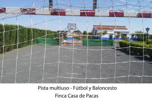 Casa Rural con jacuzzi y pista de padel - Casa de Pacas - Foto 28