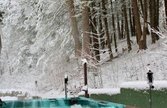 Hot Tub, Wood-burning Fireplace and 4 acres of Forest in Margaretville - Foto 16