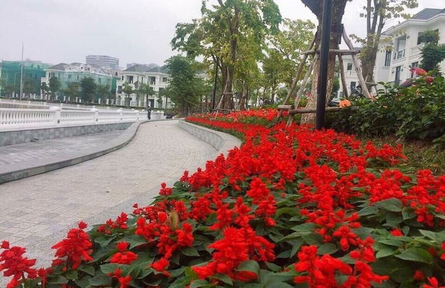 Vinhomes Green Bay Apartments - Foto 28