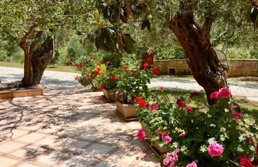 Oliveto e mare - Foto 12