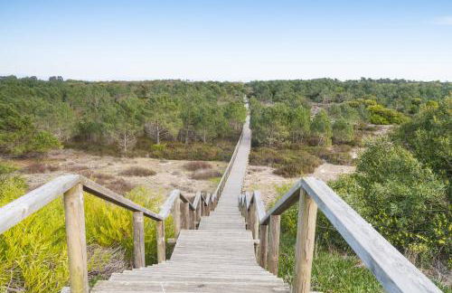 Puro São Jacinto - Foto 17