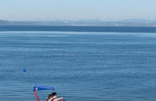 West Seattle Retreat w 3 AC - Near Alki Beach - Foto 40