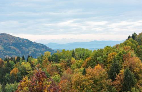 Apartment in Kleines Wiesental - Foto 53