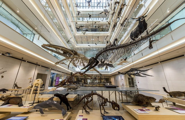 Bio Agritur Le Millemele - Foto 41