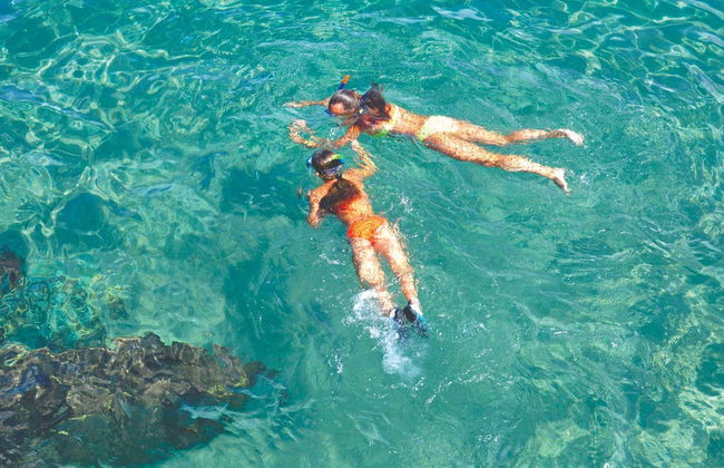 Glass Bottom Boat Tour - Foto 7