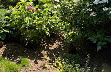 APARTAMENT MAGNOLIA - Foto 41