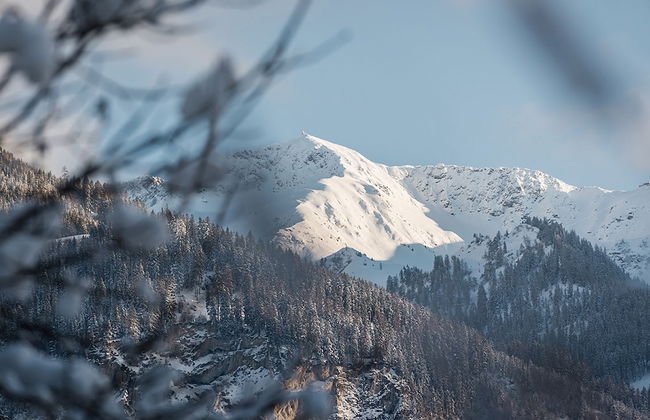 Das Urgestein - Foto 25