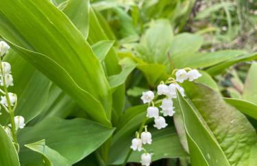 Gîte la Maison de Fram - Foto 34