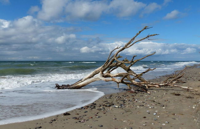 Nice Apartment in Ostseebad Wustrow - Foto 17