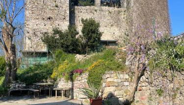 Trebiano a casa dei nonni - Foto 2