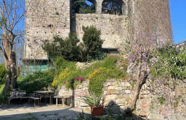 Trebiano a casa dei nonni - Foto 2