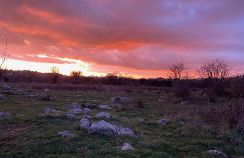 Home Sweet Home traditional Dalmatian house with pool - Photo 2