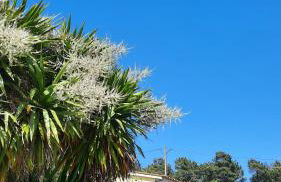 Quinta das Regueiras - Foto 26