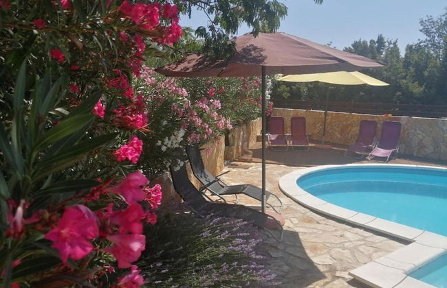 Sunny Pool Apartments - One Bedroom Apartment - Foto 10