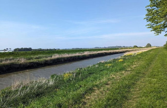 Affluent Holiday Home in Spa with Hot Tub, Garden, Sauna - Foto 28