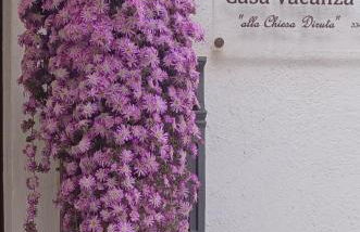 Vacanza alla Chiesa Diruta - Photo 1