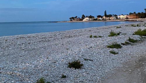 PEPE, mis casitas - Foto 2