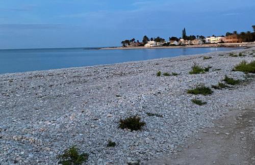 PEPE, mis casitas - Foto 2