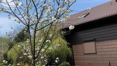 BESKIDIUM - uroczy dom Brenna - Foto 3